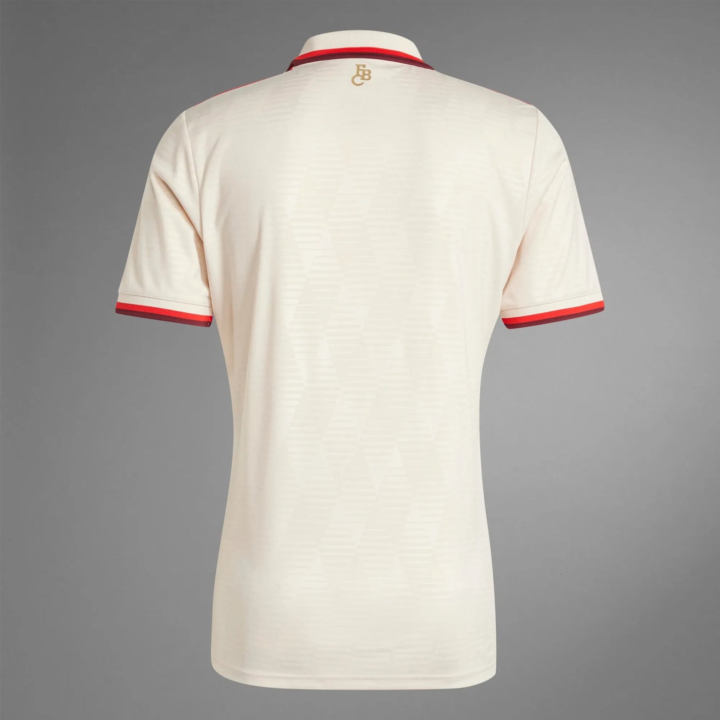 Camisa Bayern de Munique III 2024/25