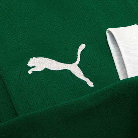Camisa Palmeiras I 2025/26 Manga Longa