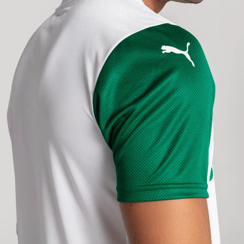 Camisa Palmeiras I 2025/26 Jogador