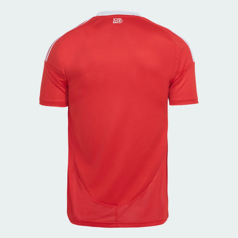 Camisa Internacional I 2025/26