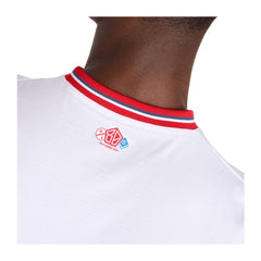 Camisa Lille Aniversário 80 Anos 2024/25