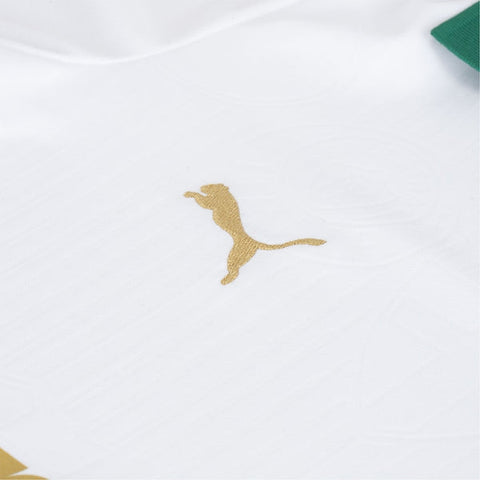 Camisa Palmeiras II 2024/25