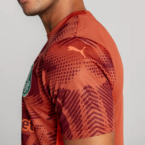 Camisa Goleiro Palmeiras II 2025/26