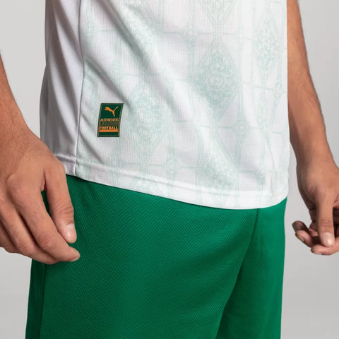 Camisa Palmeiras II 2025/26 Jogador