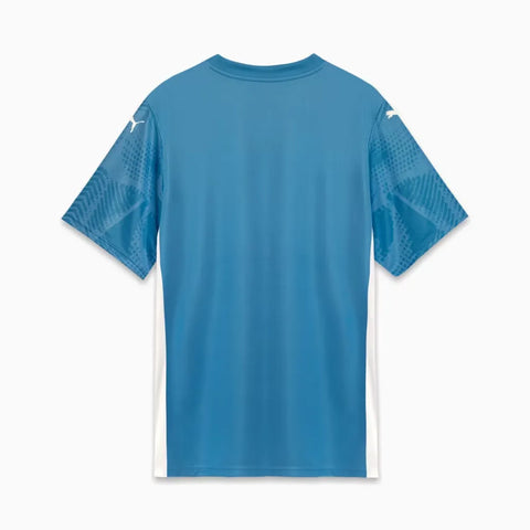 Camisa Goleiro Palmeiras I 2025/26