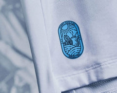 Camisa Grêmio II 2024/25